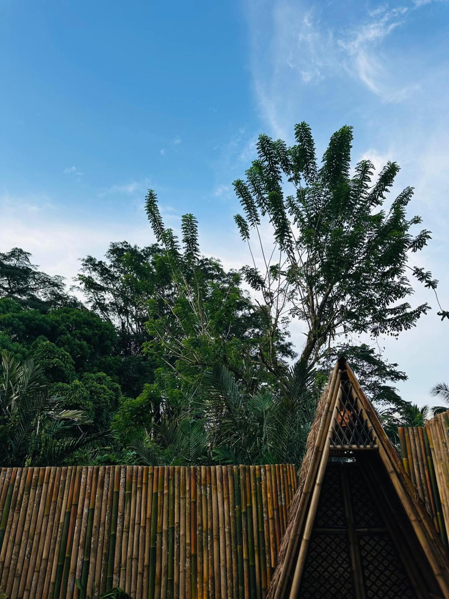 Bamboo House - Ecobreeze Βίλα Sidemen  Εξωτερικό φωτογραφία
